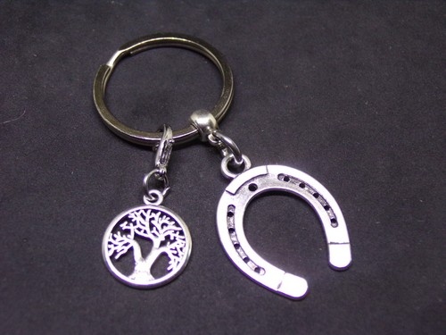 Lucky horseshoe keyring - lucky,