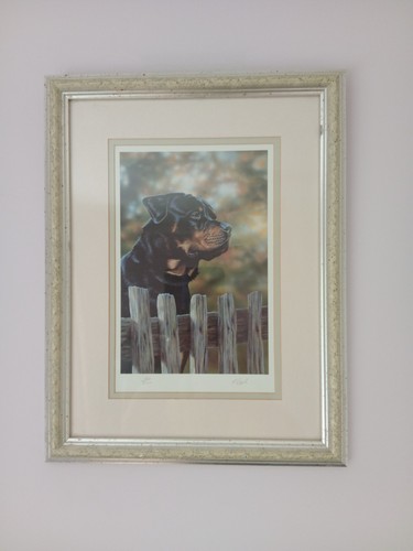 Paul doyle dog art - paul,