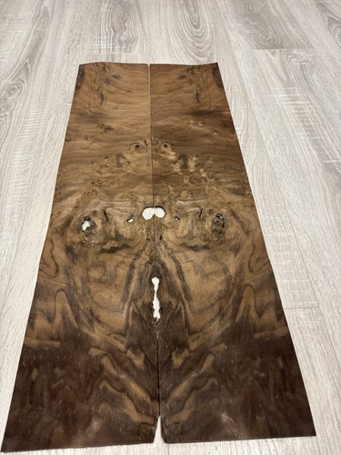 Burr walnut natural - walnut,
