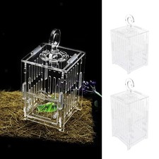 Cigar Cage Grasshopper Cricket