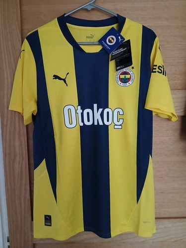 Fenerbahce home shirt 2024 - fenerbahce, 2024/25
