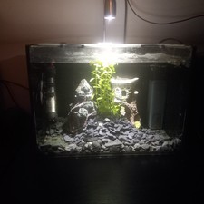 Used Small Fish Tank