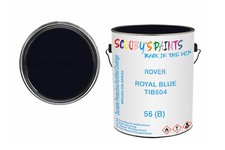 Classic Paint For Wolseley