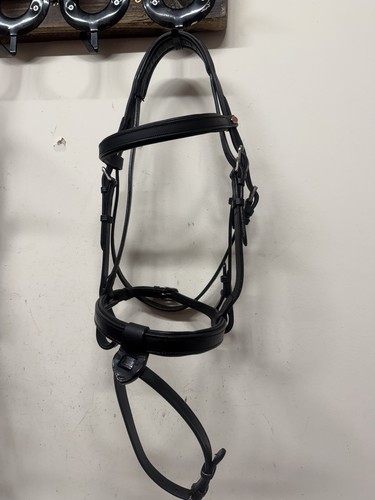 Black pony whitaker - whitaker, bridle