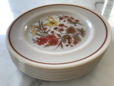 Vintage Pyrex Harvest Spray