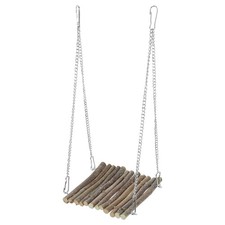 Bearded Dragon Accessories for