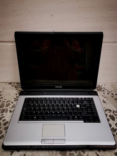 Toshiba satellite pro personal - pro,