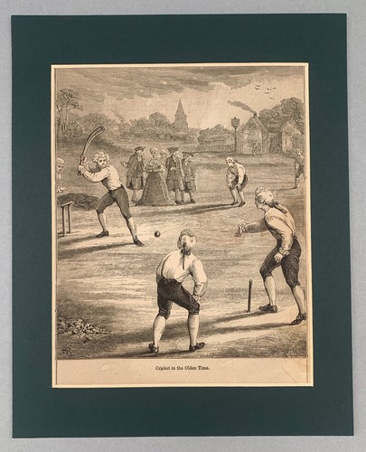Antique engraving cricket - cricket, in