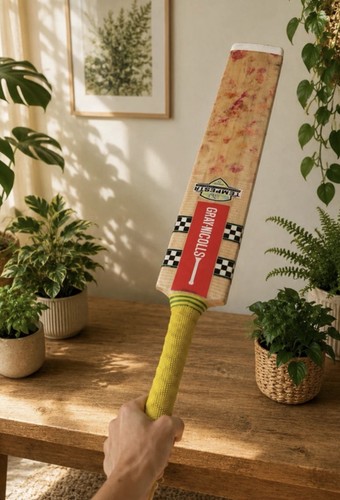 Gray nicolls cricket bat - cricket,