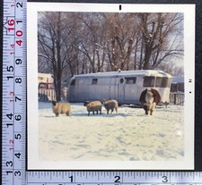 1974 Sheep Animals Mobile Home