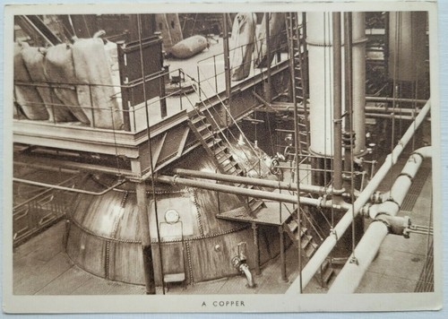 Guinness copper st - guinness., copper,