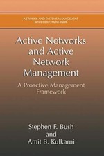 Active Networks and Active