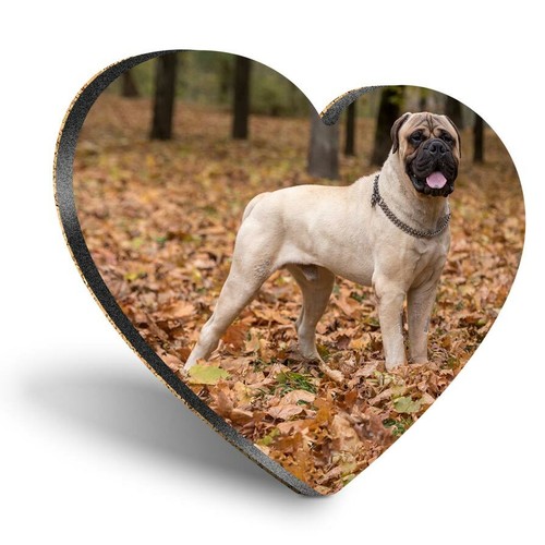 Heart mdf coasters large - -,