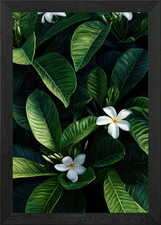 Plumeria Flowers and Leaves