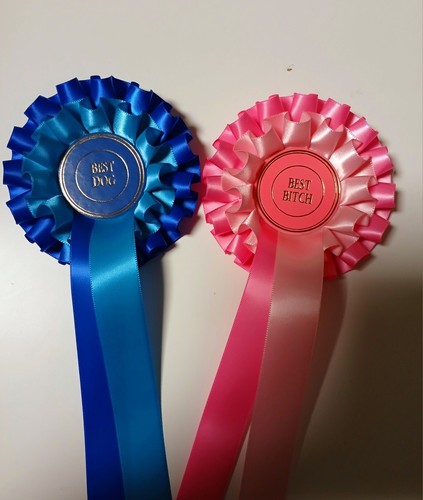 Tier rosettes best bitch - rosettes,
