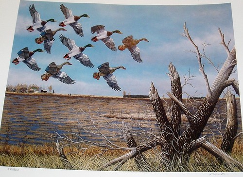 Numbered print robert - dc:, print,