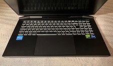 Faulty PC SPECIALIST 17.3”