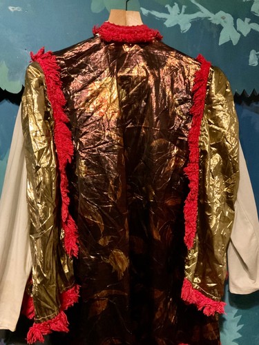 Pantomime costume mens - pantomime,