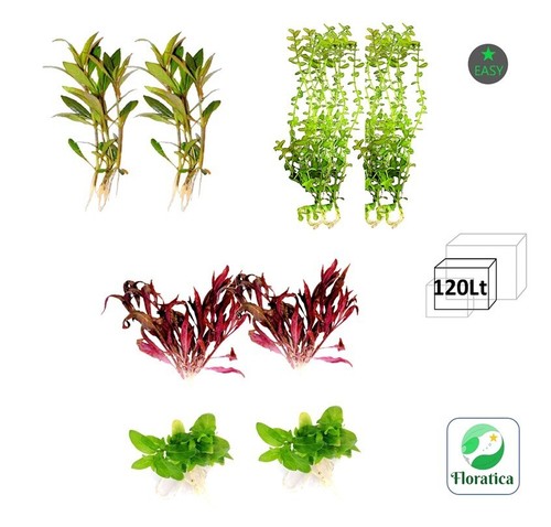 Starting mixed bundle 120lt - starting,