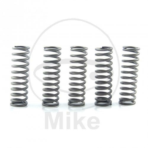 Ebc clutch springs rinf 10 - 6, +10