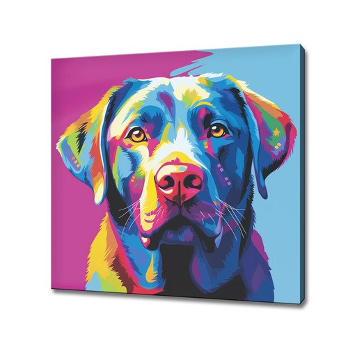 Colourful labrador retriever - labrador,