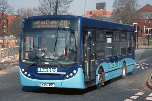 Bus photo bluebird - -,