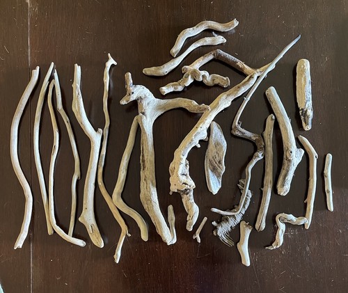 Natural driftwood craft lot - driftwood, of