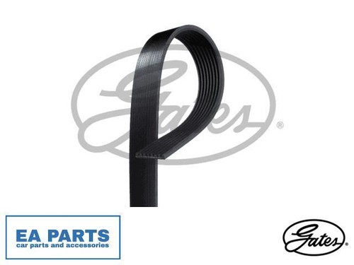 Ribbed belts for scania - belts,