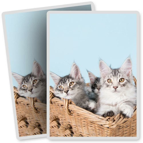 Vinyl stickers 7x10cm - 2, x