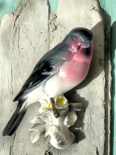 Bullfinch bird wall plaque - bird,