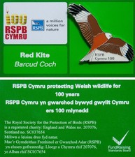 RSPB Pin Badge Special CYMRU 100 years AMVfN Red Kite (2011 Release) P00701