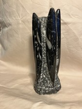 Orthoceras polished fossil