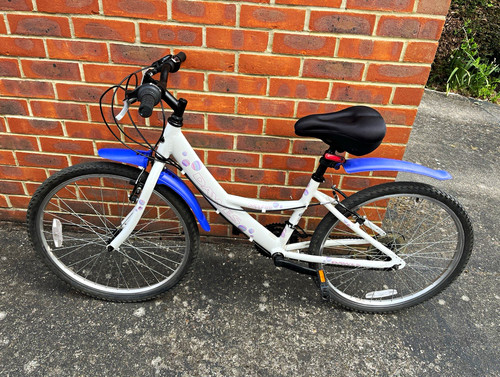 Dawes sapphire 24in - sapphire, unisex