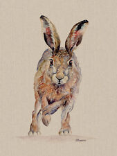 Jane Bannon - Phoebe - Canvas Print Wall Art 3 sizes available - Hare