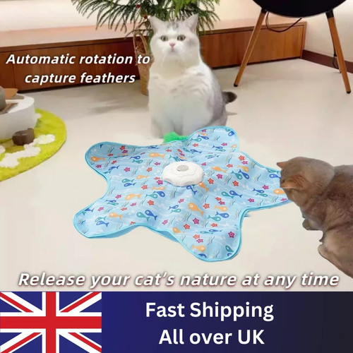Interactive cat toys cats - interactive,