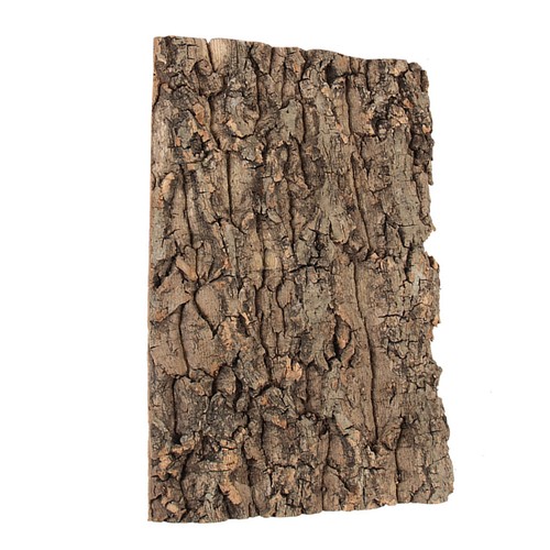 Reptile tank accessories - tank,