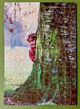 Wentworth 250 piece Wooden