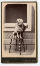 CDV PHOTO Hubert Villeneuve