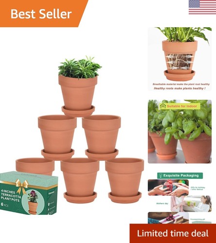 Inch terracotta plant - 4,