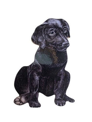 Black labrador puppy - puppy, plaque