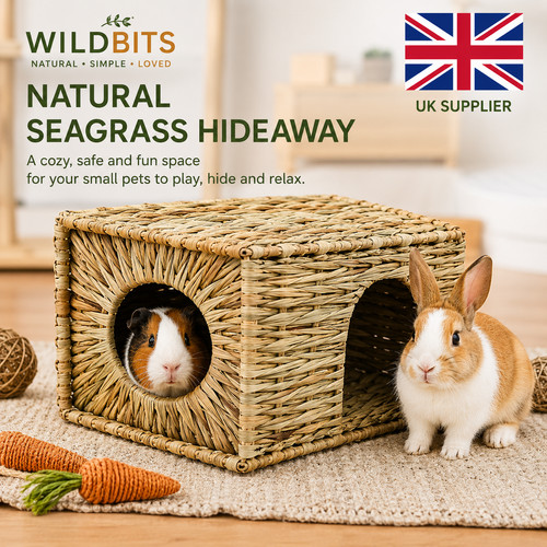 Natural seagrass guinea pig - natural,