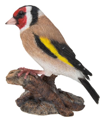 Goldfinch bird lifelike - -,