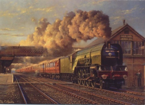 2001 cock the north p2 - cock,