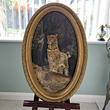 Vintage Oil Painting on Board Cheetah / Leopard Old Wooden Oval Frame Shaw 1947