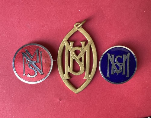 Vintage msn nurses enamel - vintage,