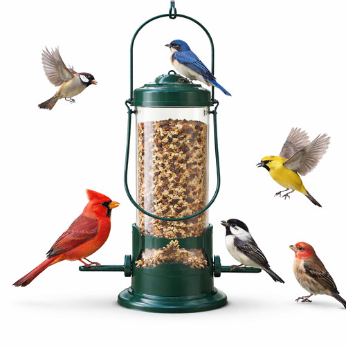 Pack hanging wild bird - 3,