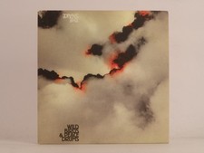 WILD BIRDS AND PEACE DRUMS THE SNAKE (550) 10 Track Promo CD Album including Car