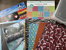 Lot of scrapbook paper & case