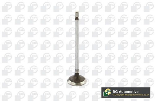 Inlet valve for iveco - for, daily