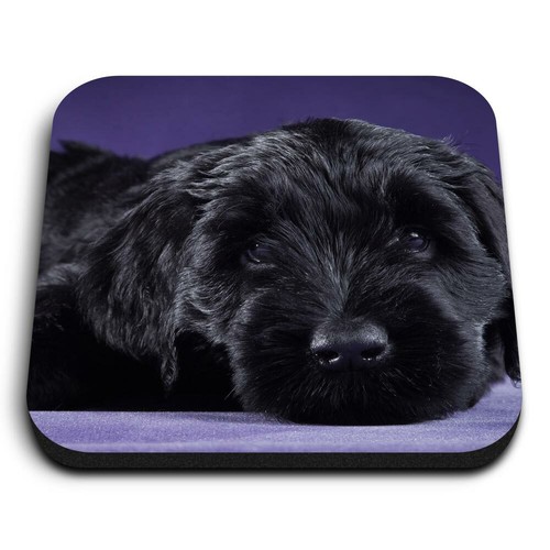 Square mdf magnets black - magnets,